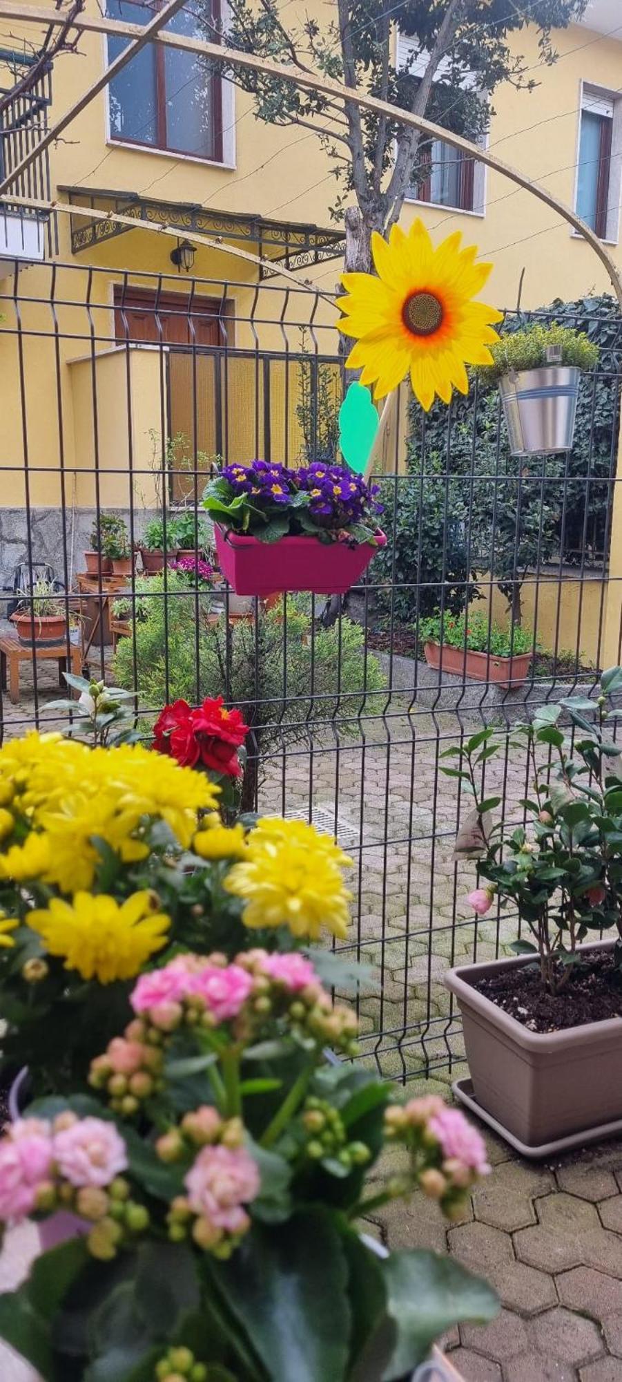 Carta Da Zucchero Venaria Reale Bagian luar foto